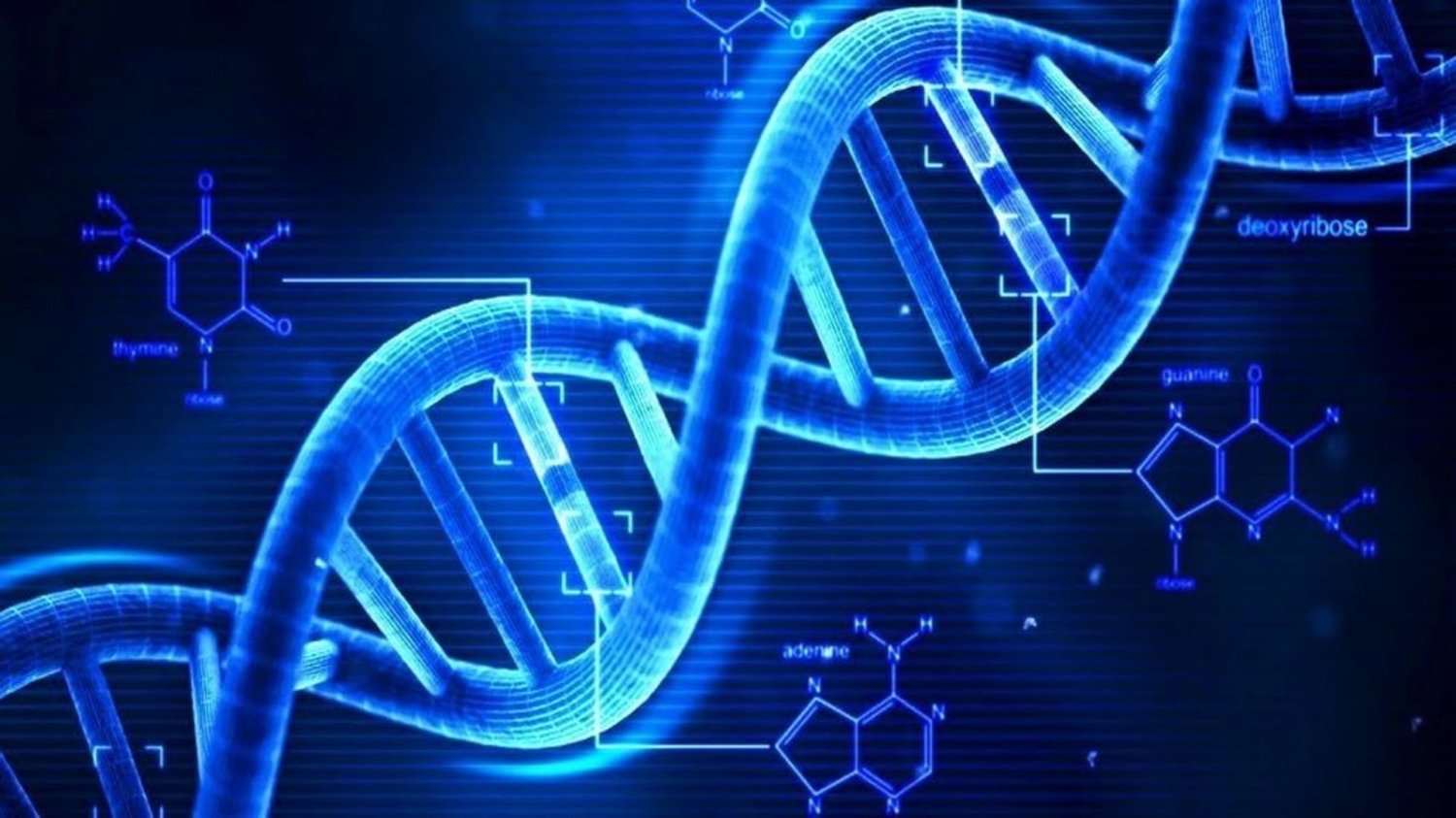 ДНК Информационный тест на определение родства вместо 12000 рублей